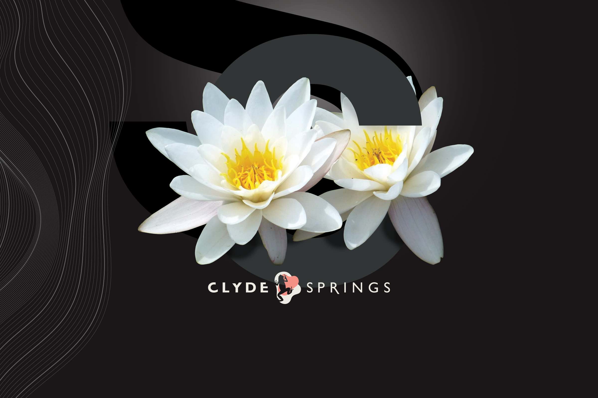 [Land for Sale] Clyde Springs Estate, Clyde North OpenLot